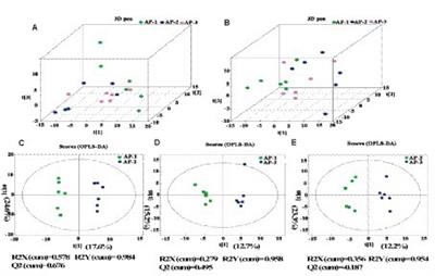 Integrated metabolome and microbiome analysis reveals the effect of rumen-protected sulfur-containing amino acids on the meat quality of Tibetan sheep meat